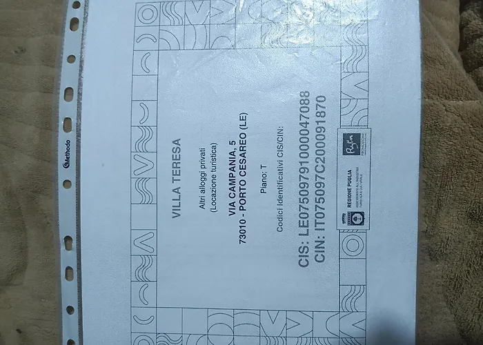 Teresa * 托雷拉皮罗